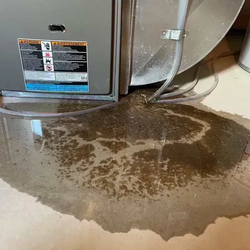 Appliance Leak Cleanup in Gibson, AR